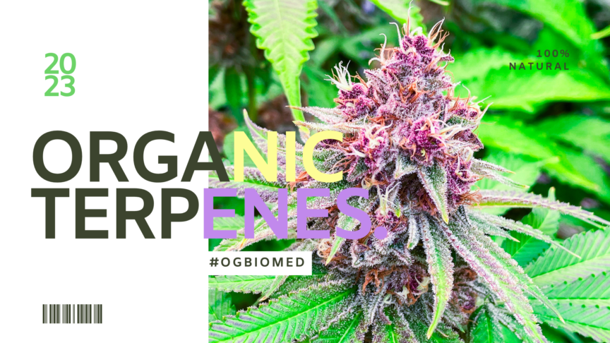 Organic-Terpens