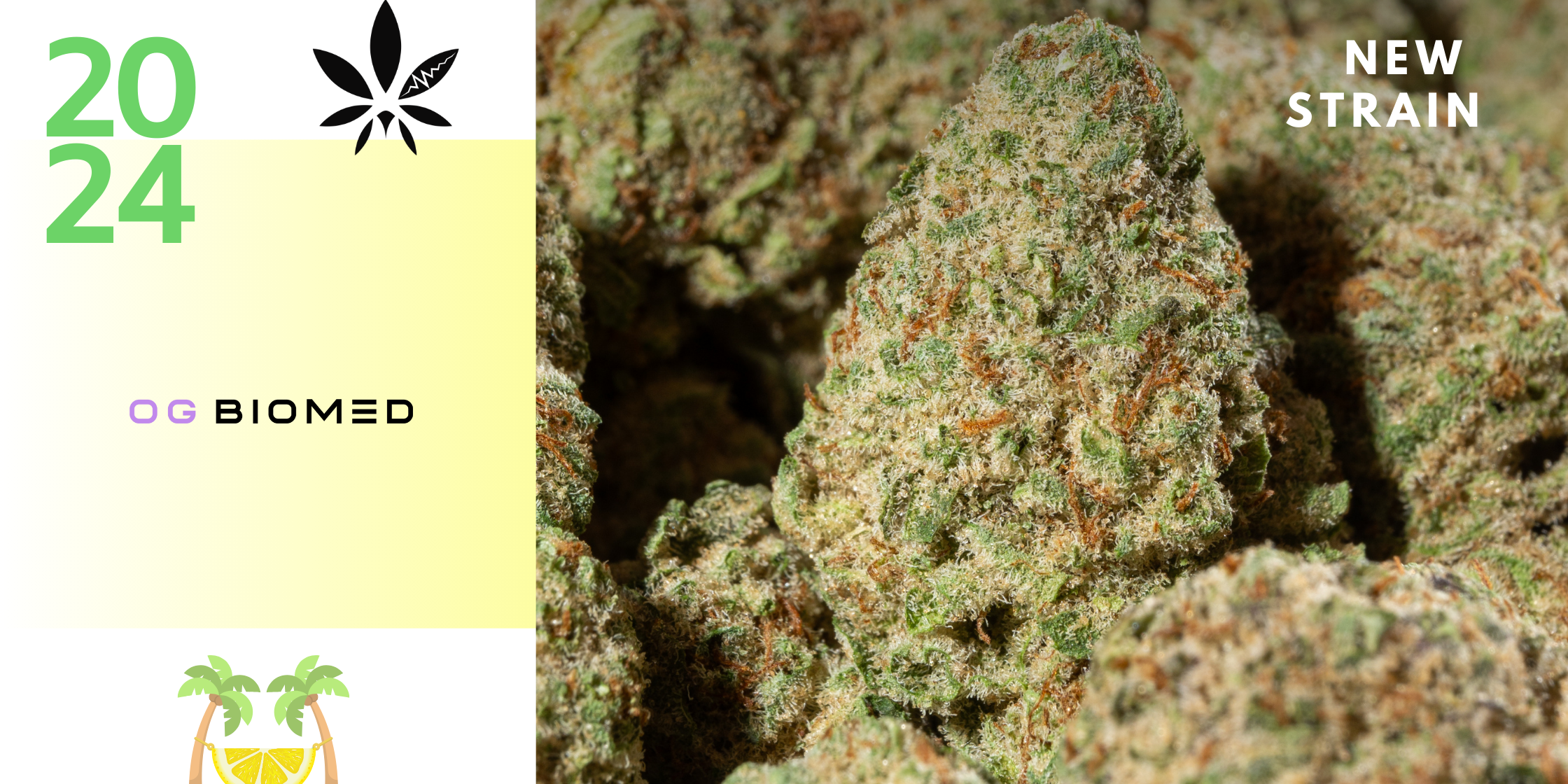 OG Lemon Crasher Post